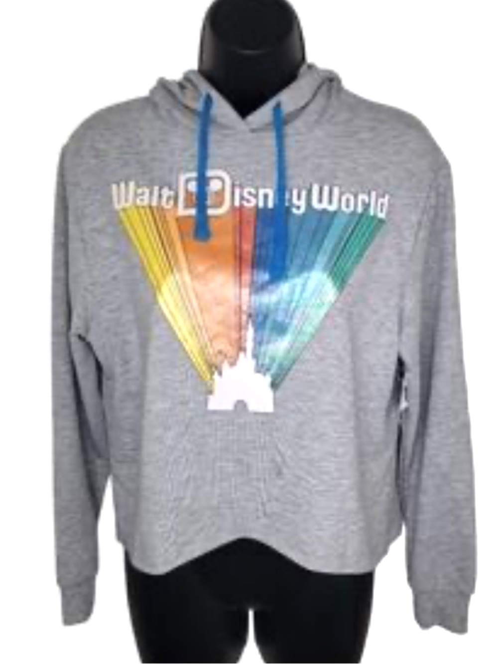 Disneyland Rainbow Pullover Sweatshirt Walt Disney world castle
